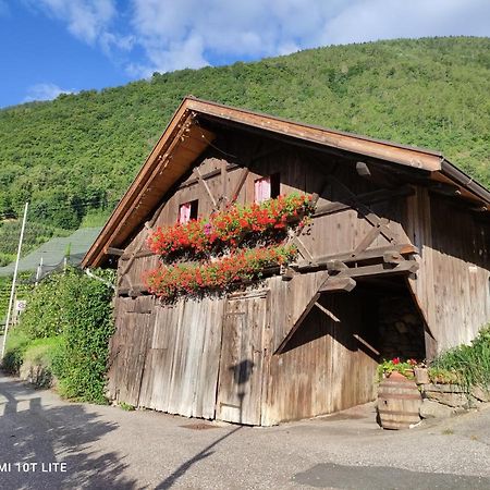 Ruhige Ferienwohnung Mit Garten Und Garage In Privatvilla Marlengo Eksteriør bilde